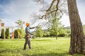 Best Tree Planting Services  in Mandeville, LA